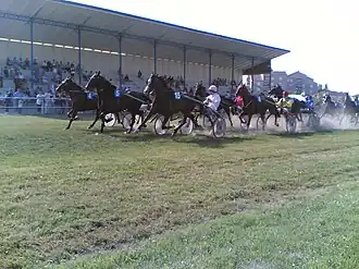 Image illustrative de l’article Hippodrome d'Alençon