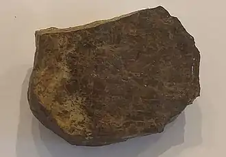 Image illustrative de l’article Thoreaulite