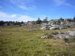 Bel ensemble de roches granitiques polies par les glaciers (roches moutonnées) dans la haute vallée de la Biourière.