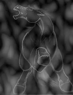 Dessin blanc sur fond noir représentant un cheval menaçant cabré sur ses postérieurs, son unique antérieur relévé.