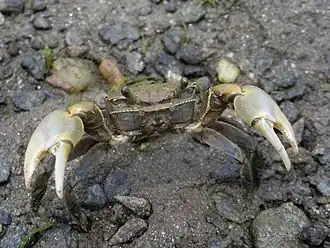 Description de cette image, également commentée ci-après