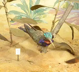 Description de cette image, également commentée ci-après