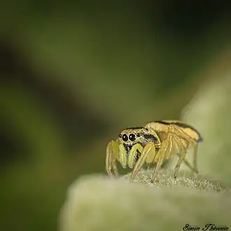 Description de cette image, également commentée ci-après