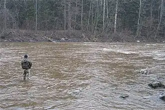 Pêcheur dans le rapide de Pitkäkoski de la rivière de Vantaanjoki qui sépare Vantaa et Helsinki.