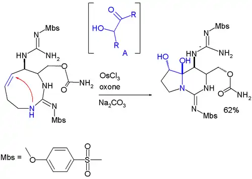 Formation de l'hémiaminal dans la synthèse totale du saxitox in synthesis