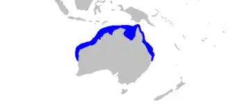 Description de l'image Hemigaleus australiensis distmap.png.