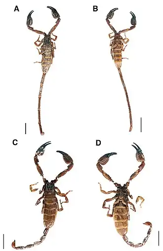 Description de cette image, également commentée ci-après