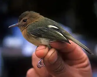 Description de cette image, également commentée ci-après