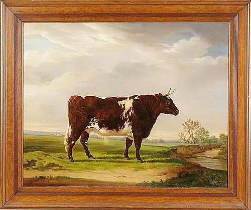 General James Wadsworth, boeuf primé, dans un paysage de la rivière Genesee, 1851.