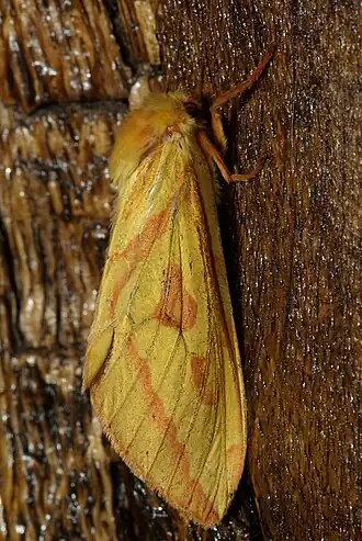 Description de cette image, également commentée ci-après