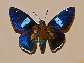 Description de cette image, également commentée ci-après