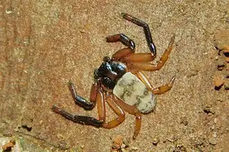 Description de cette image, également commentée ci-après