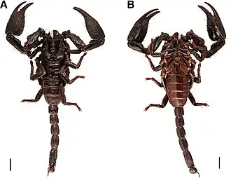 Description de cette image, également commentée ci-après