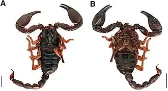 Description de cette image, également commentée ci-après