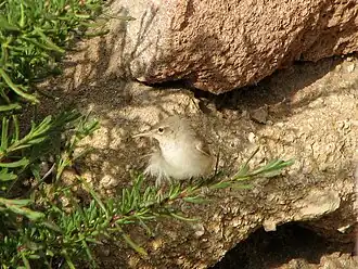 Description de cette image, également commentée ci-après