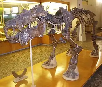 Description de cette image, également commentée ci-après