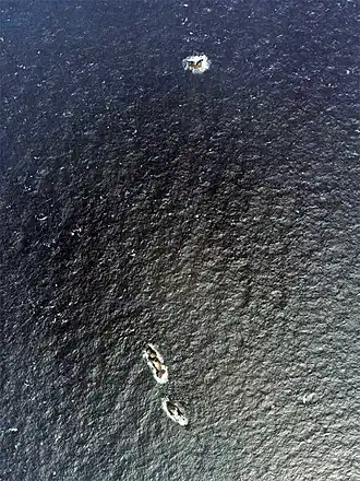 Photographie aérienne des îles Hizen Torishima prise en 1978.