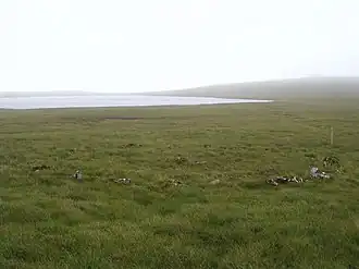 Image illustrative de l’article Hjaltadans