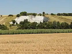 Ancienne carrière de craie, côte Blanche