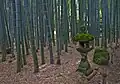 Gorintō au milieu de la forêt de bambous