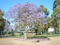 Description de cette image, également commentée ci-après