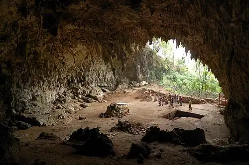 Grotte de Liang Bua, où les fossiles d'Homo floresiensis ont été découverts, à 70&nbsp;km à l'ouest de Mata Menge.