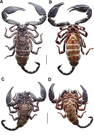 Description de cette image, également commentée ci-après