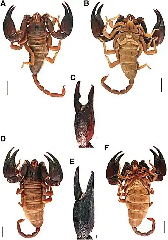 Description de cette image, également commentée ci-après
