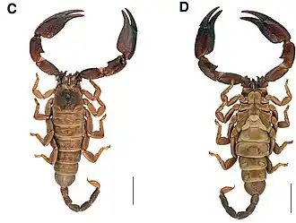 Description de cette image, également commentée ci-après