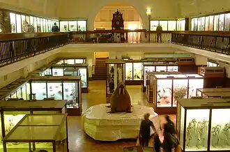 Galerie d'histoire naturelle.
