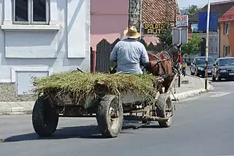 Chariot hippomobile transportant du fourrage en Roumanie.