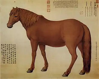 peinture d'un cheval roux