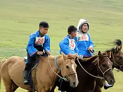 Trois cavaliers sur des chevaux au pas