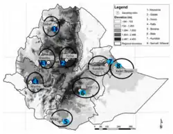 Carte de l’Éthiopie avec la répartition des différentes races de chevaux du pays.