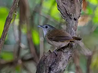 Description de cette image, également commentée ci-après