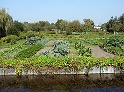 Hortillonnages d'Amiens (France).