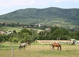 Hosszúhetény, devant la montagne.