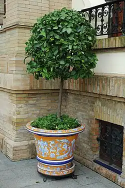 Vase en céramique typique de Séville à l'Hôtel Alfonso XIII