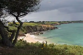 Vue de la côte Nord-Ouest avec une plage.