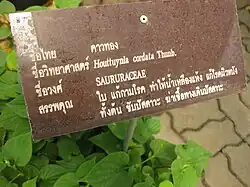 Panneau indicatif en langue thaï.
