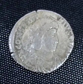 Une siliqua intacte.