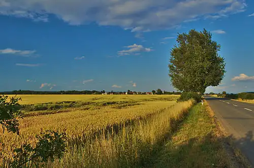 Vue générale de Hrdibořice.