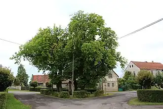 Hrušov (district de Mladá Boleslav)