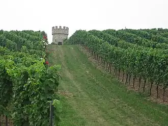 Image illustrative de l’article Dalsheimer Hubacker