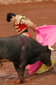 Image illustrative de l’article Humberto Flores