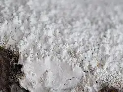 Image illustrative de l’article Huntite