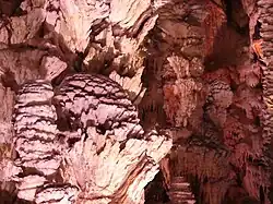 La « pomme de pin ».