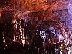 La cavité avec ses fines stalactites et ses très nombreuses stalagmites.