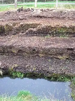 Front de taille en paliers.