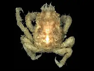 Description de cette image, également commentée ci-après